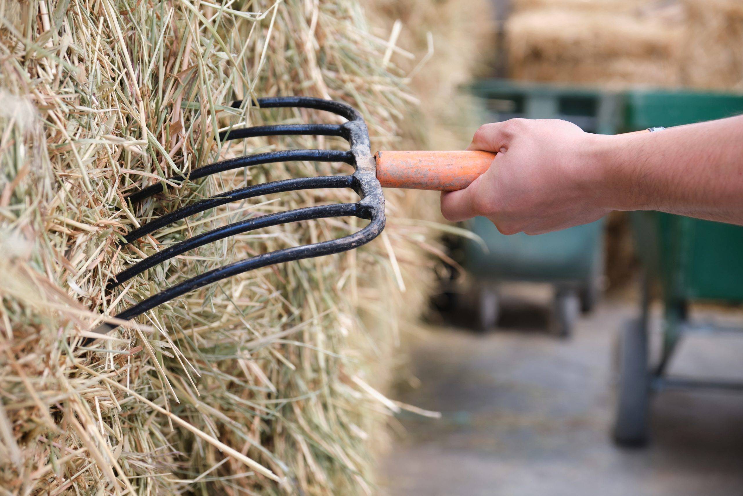 close-up-of-a-farmers-hand-using-scaled.jpeg