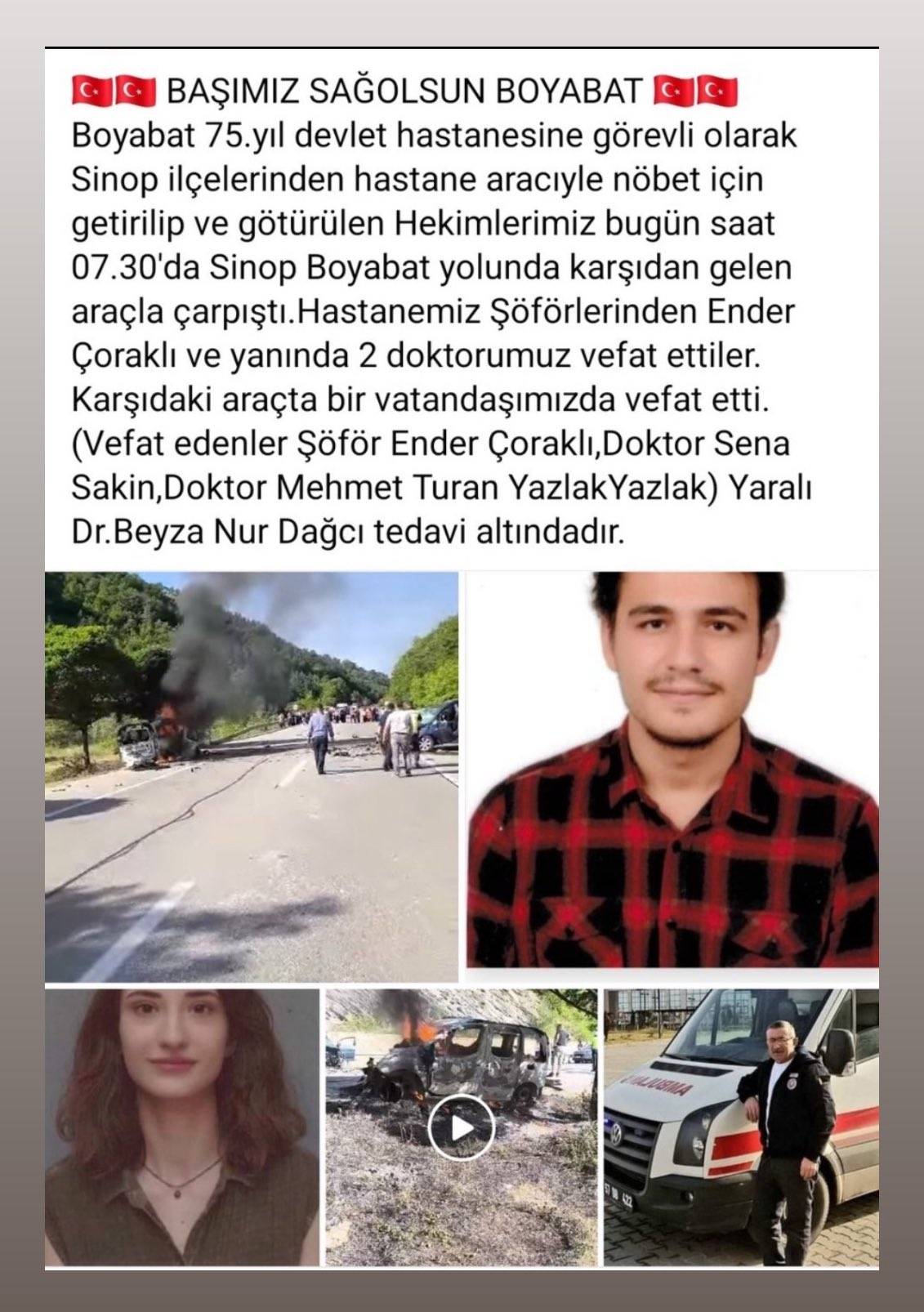 sinopp.jpeg